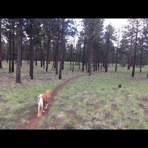 Meet your Posher, Sherrie